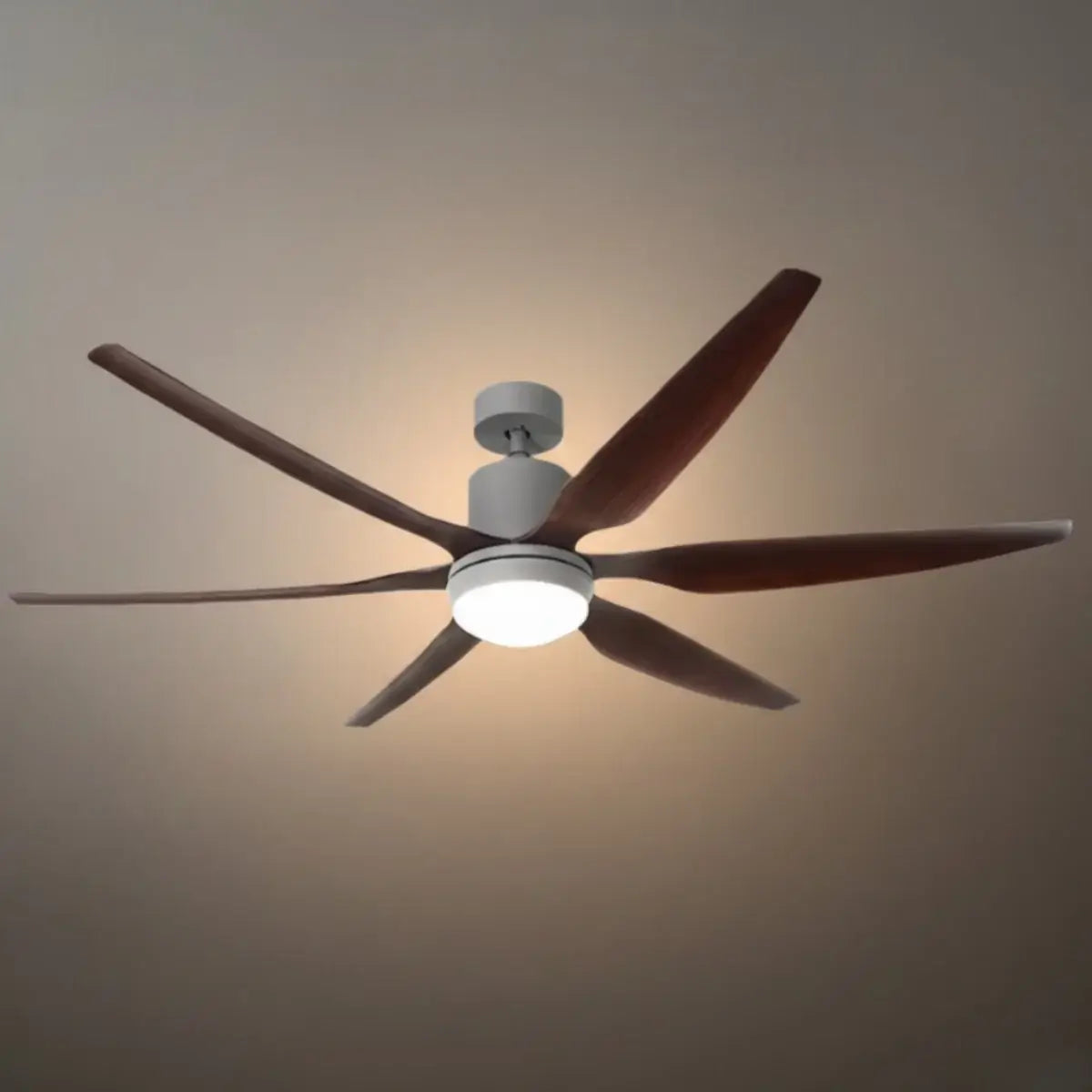 Morandia Modern Ceiling Fan Light